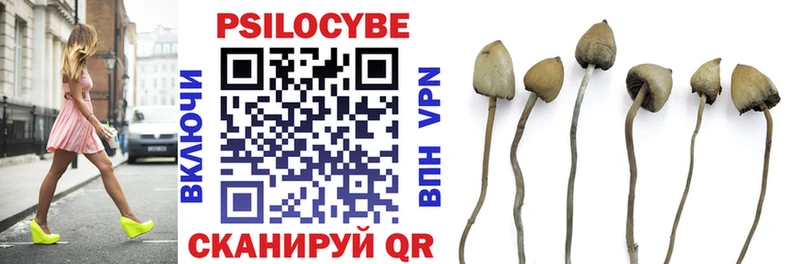 Псилоцибиновые грибы мицелий  Новотроицк 
